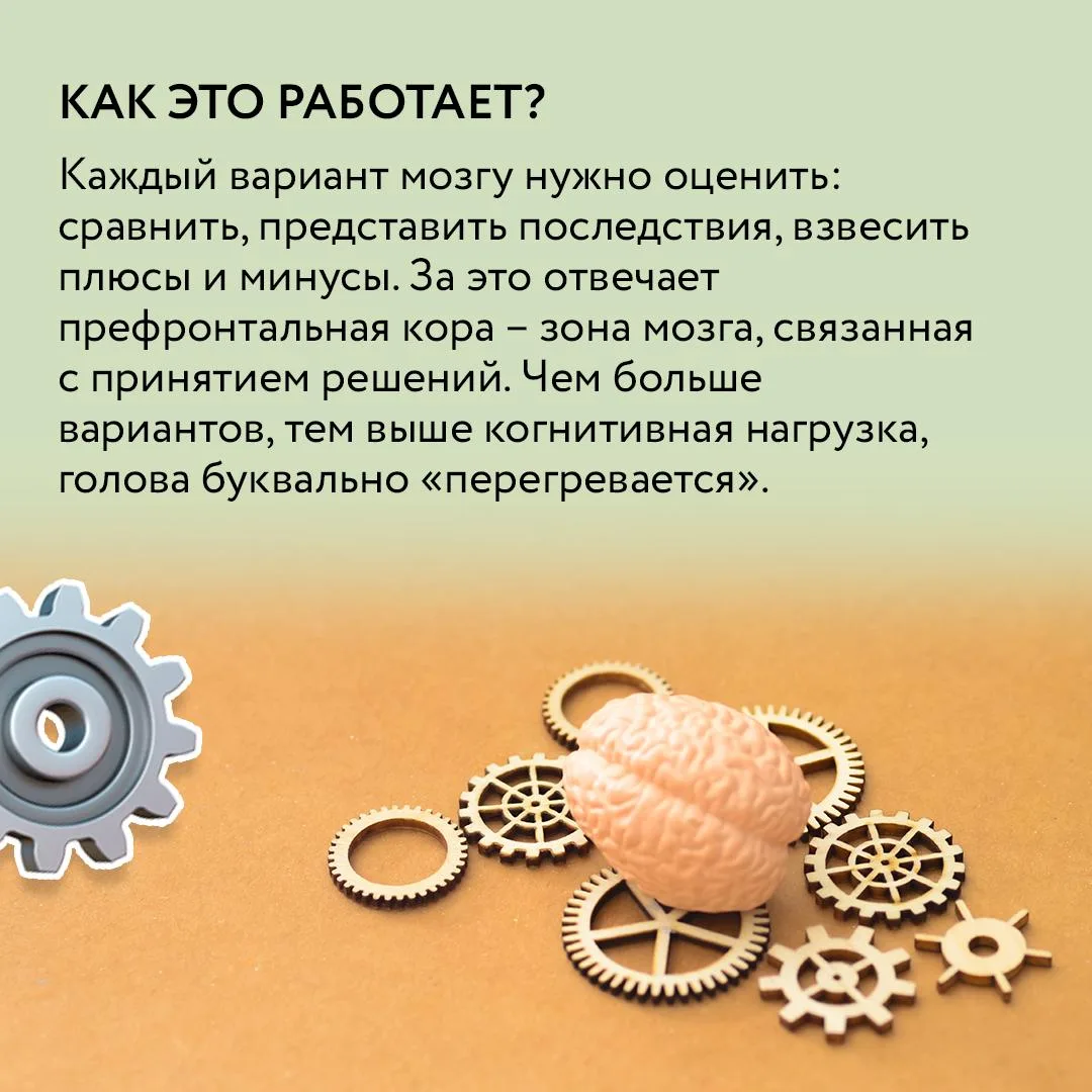 🔎 Иногда кажется, что чем больше перед нами возможностей, тем легче сделать правильный выбор. Но на 