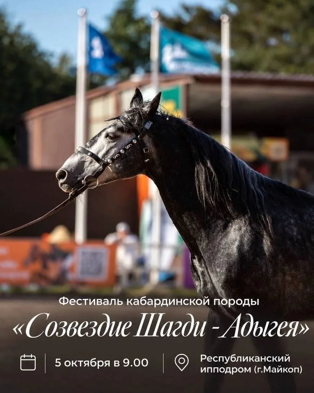 Завтра на республиканском ипподроме в Майкопе состоится большой конноспортивный праздник.