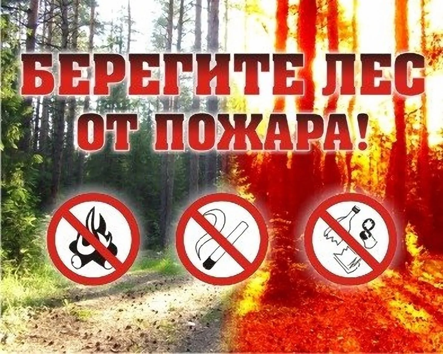 ПРАВИЛА ПОЖАРНОЙ БЕЗОПАСНОСТИ В ЛЕСАХ
 
Граждане при пребывании в лесах обязаны соблюдать требования