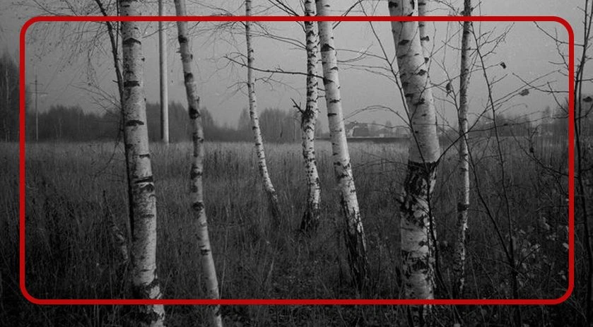 Дорогие коллеги и партнёры!

От всей души поздравляем вас с Днём России ❤️‍🔥🇷🇺

Этот праздник — о