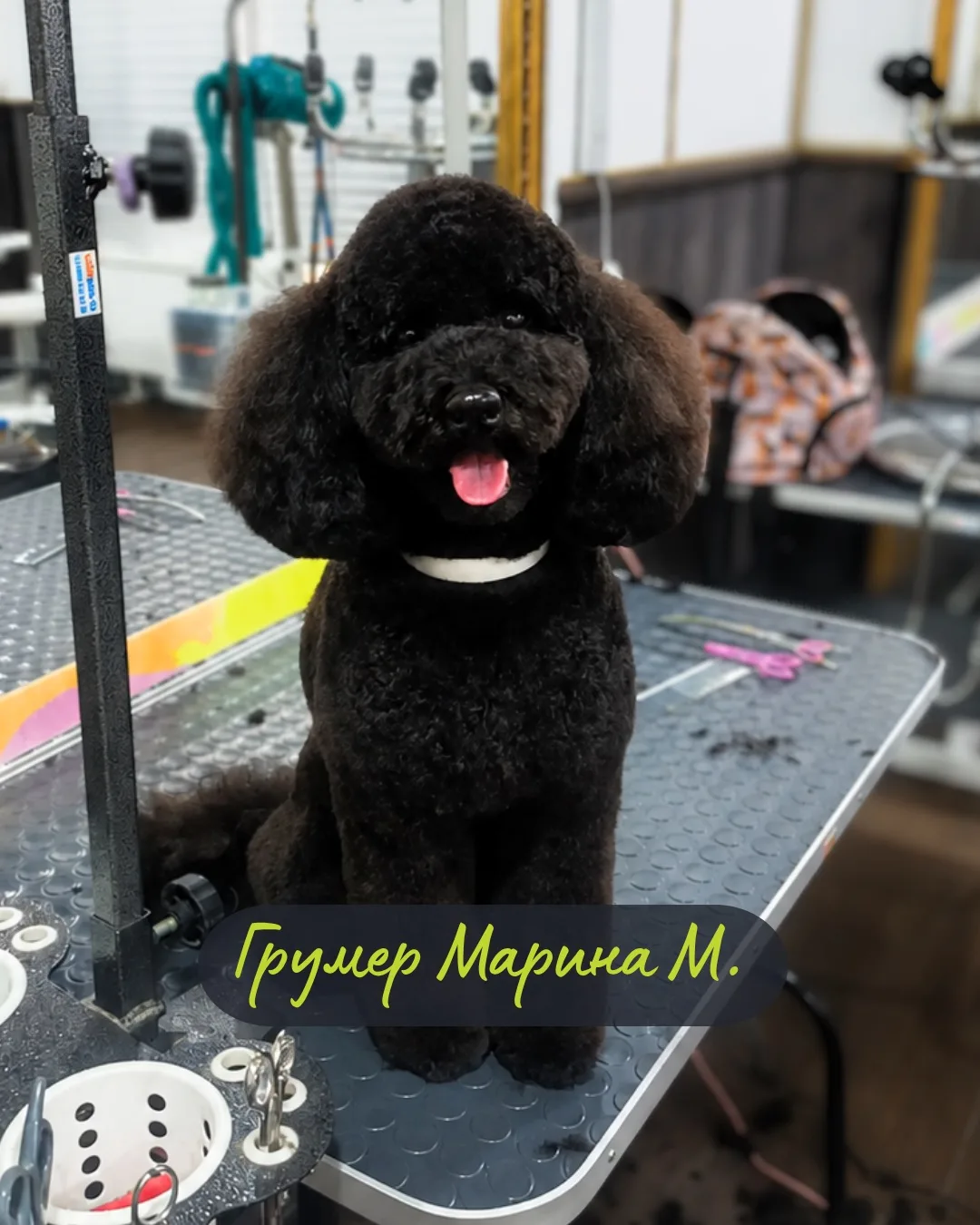 Замечательные хвостики замечательных людей стали ещё красивее 😍