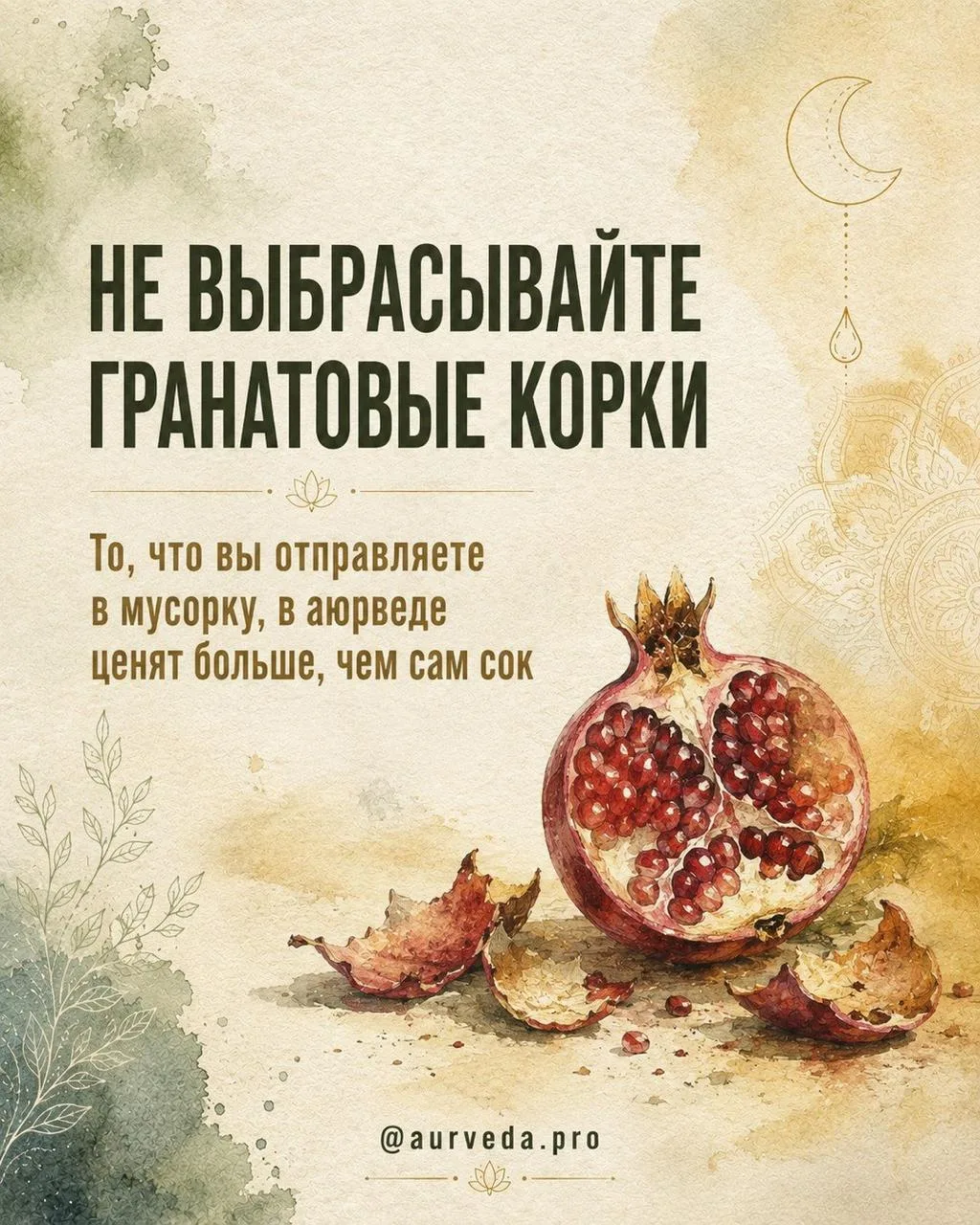Мы съедаем зёрна, а плотную кожуру выбрасываем не глядя. А в ней собрана вяжущая сила г...