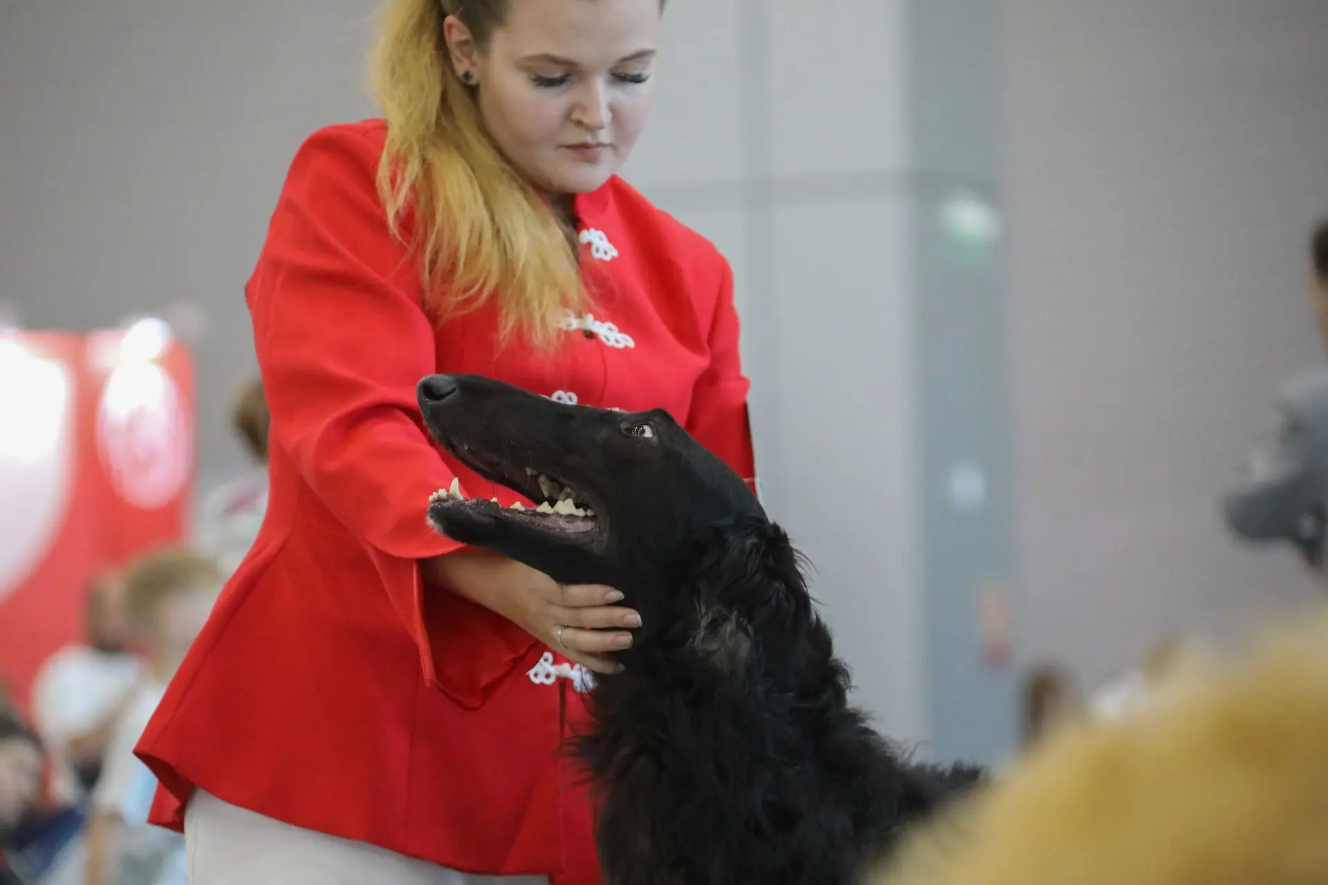 🐶 Какая порода вас удивит сегодня? Приезжайте на день второй! ❤️ 

Сегодня в Центральном парке «Пат