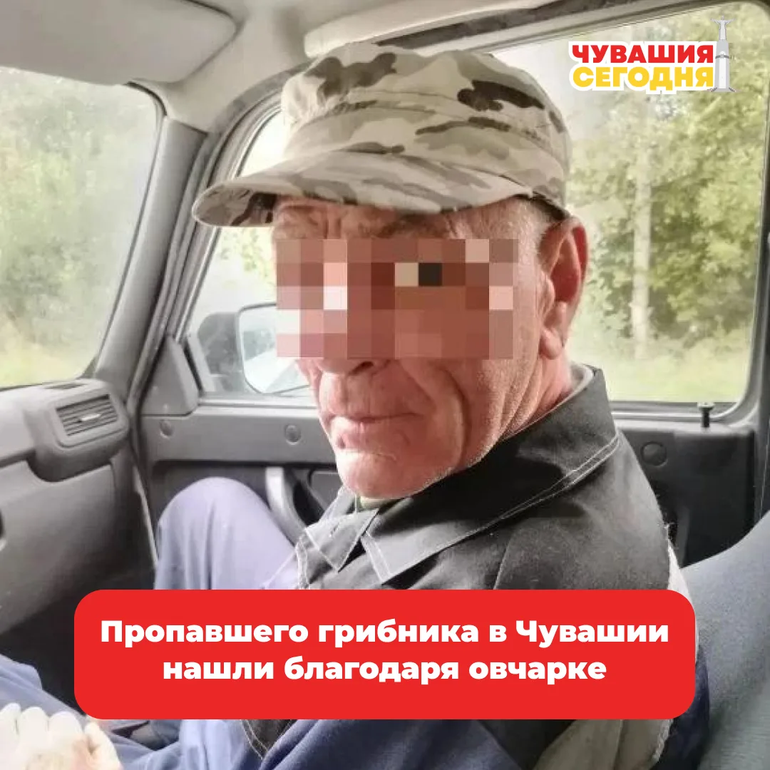 💥57-летний житель Мариинско-Посадского округа заблудился в алатырском лесу. Мужчина от...