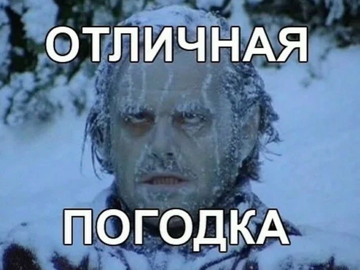 Дорогая редакция!