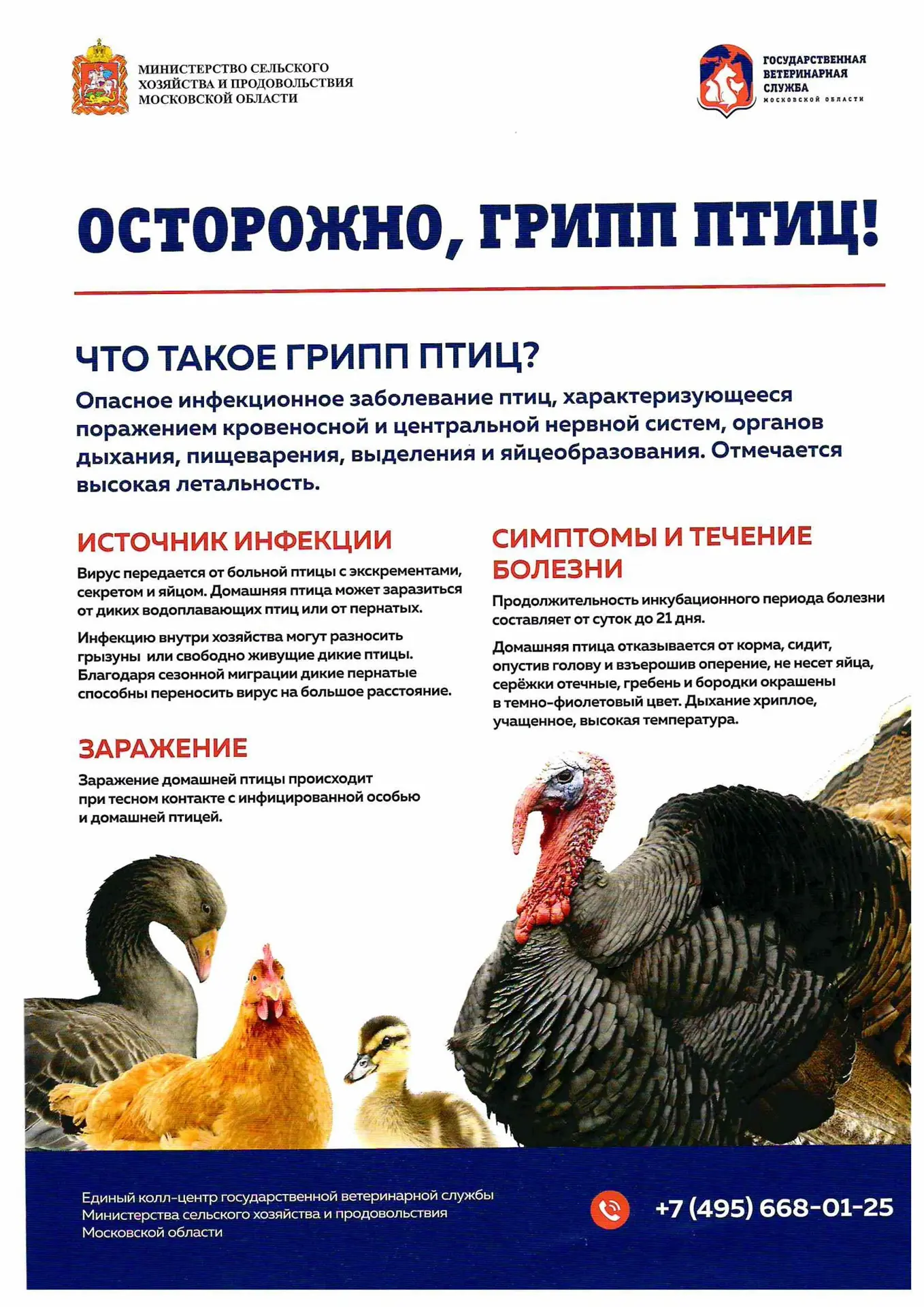 На территории Подмосковья стартовал месячник по обеспечению биологической защиты объектов птицеводст