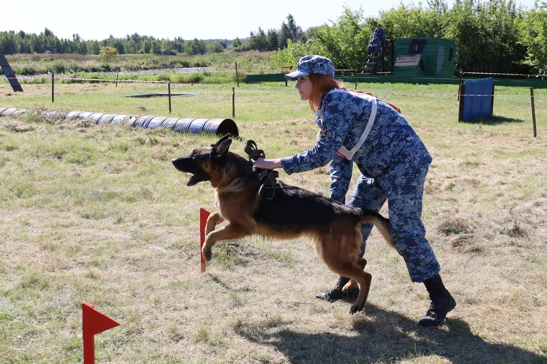 Соревнования по многоборью со служебными собаками прошли на Южном Урале