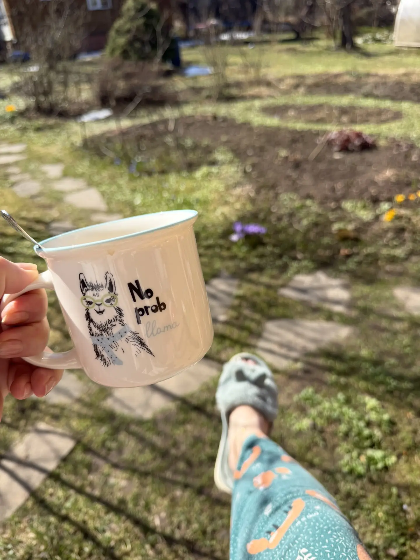 Доброе утро ☀️