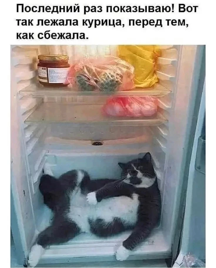🔹 И дверку прикрой, а то дует 😄

ЮМОР 360° в MAX   |  TG