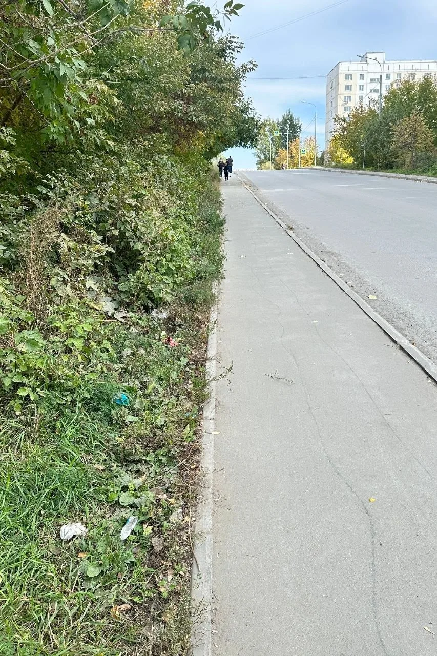 Одна из центральных улиц нашего жилмассива - от перекрестка, где находятся магазины Ярч...