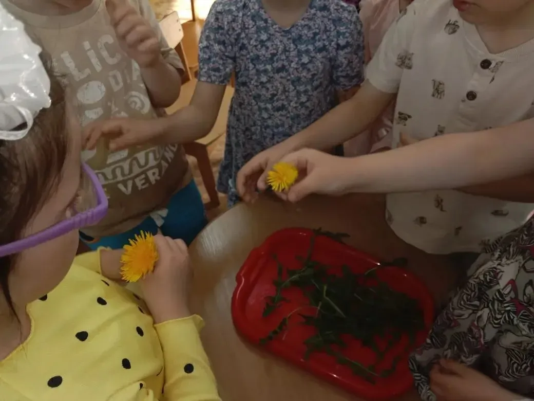 🌼✨ День одуванчика в старшей группе! ✨🌼