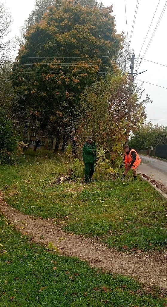 🌳 Работы по вырезке поросли продолжаются!