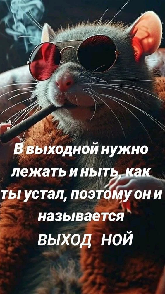#доброеутро