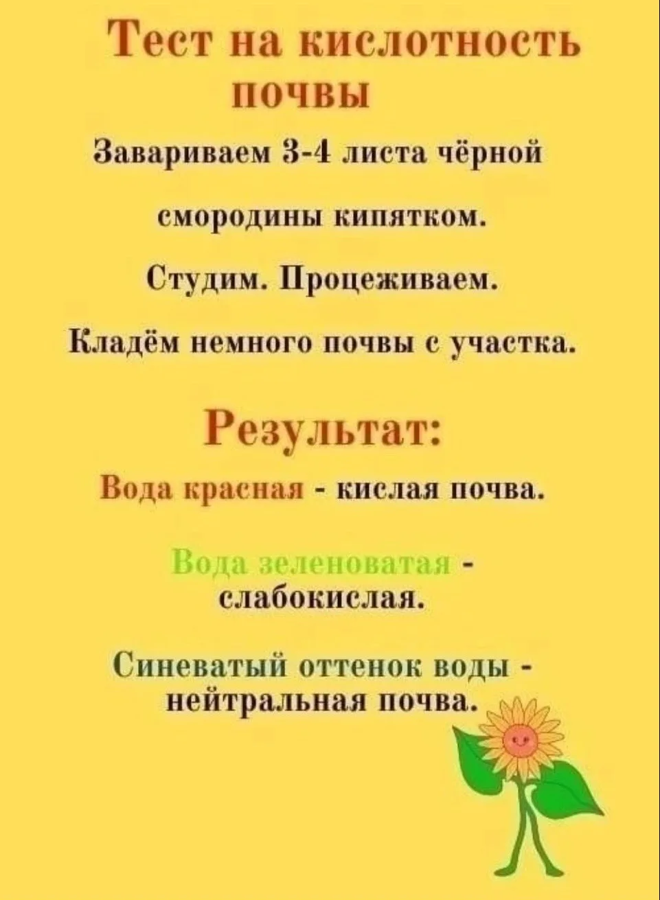 Изображение 1 к публикации «ДАЧНИЦА | САД, ОГОРОД, УРОЖАЙ»