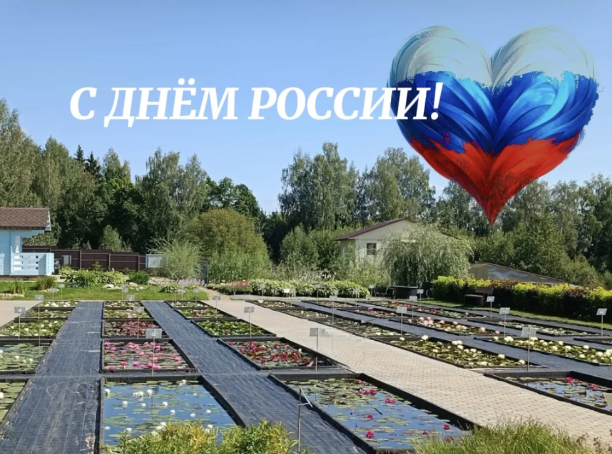 С ДНЕМ РОССИИ!🇷🇺

Пусть красота родной природы — бескрайних полей, густых лесов, спокойных рек — д