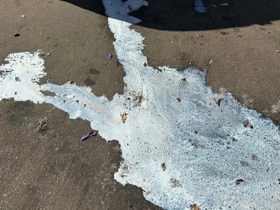 🧹 Дворовую территорию на бульваре Матроса Железняка не убрали