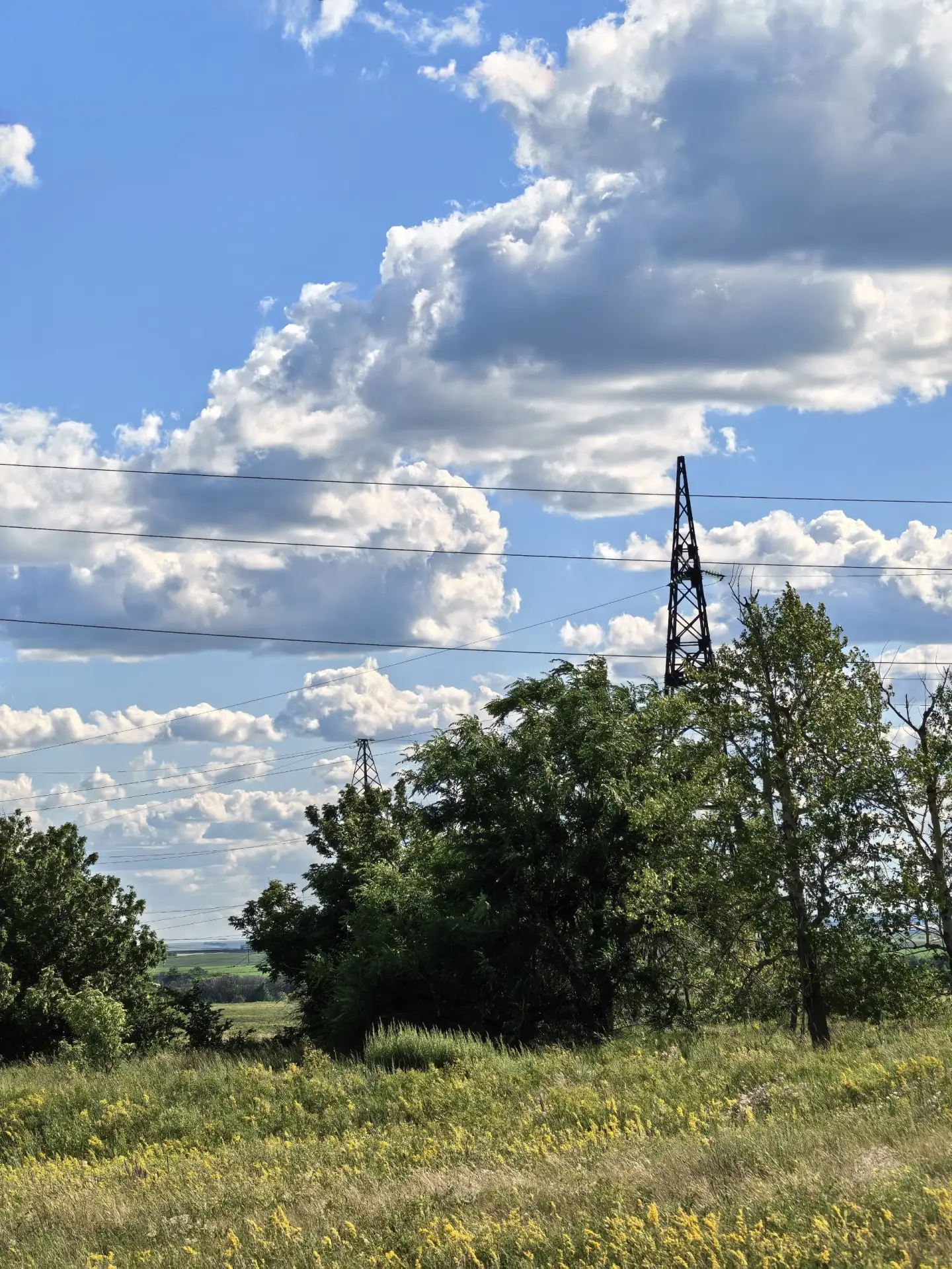 📍Родина моя
Саратовская обл.

Делитесь кадрами ваших выходных 😉