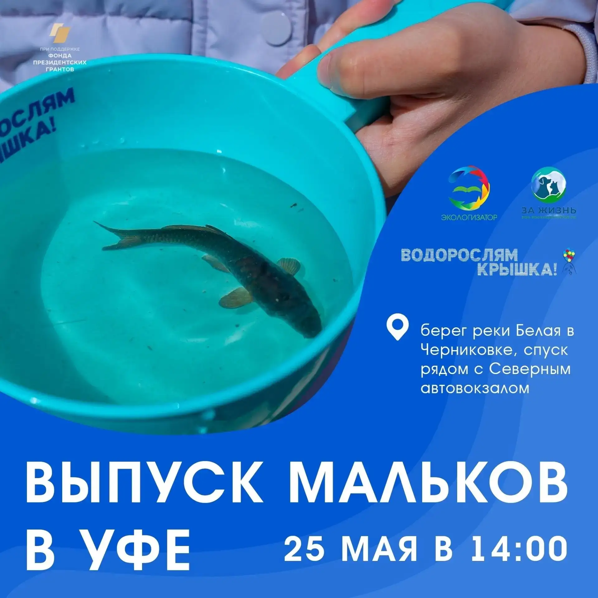 Дорогие друзья, всех участников, кто кропотливо собирал пластиковые крышки, приглашаем ...