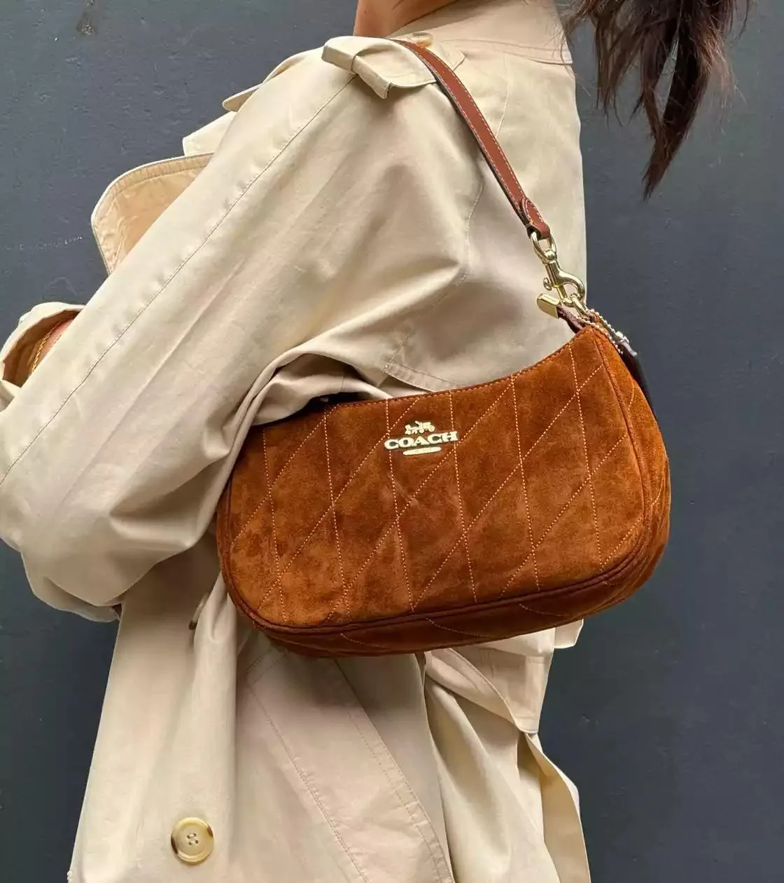 ⚡️🔥Сумка COACH Teri 😍