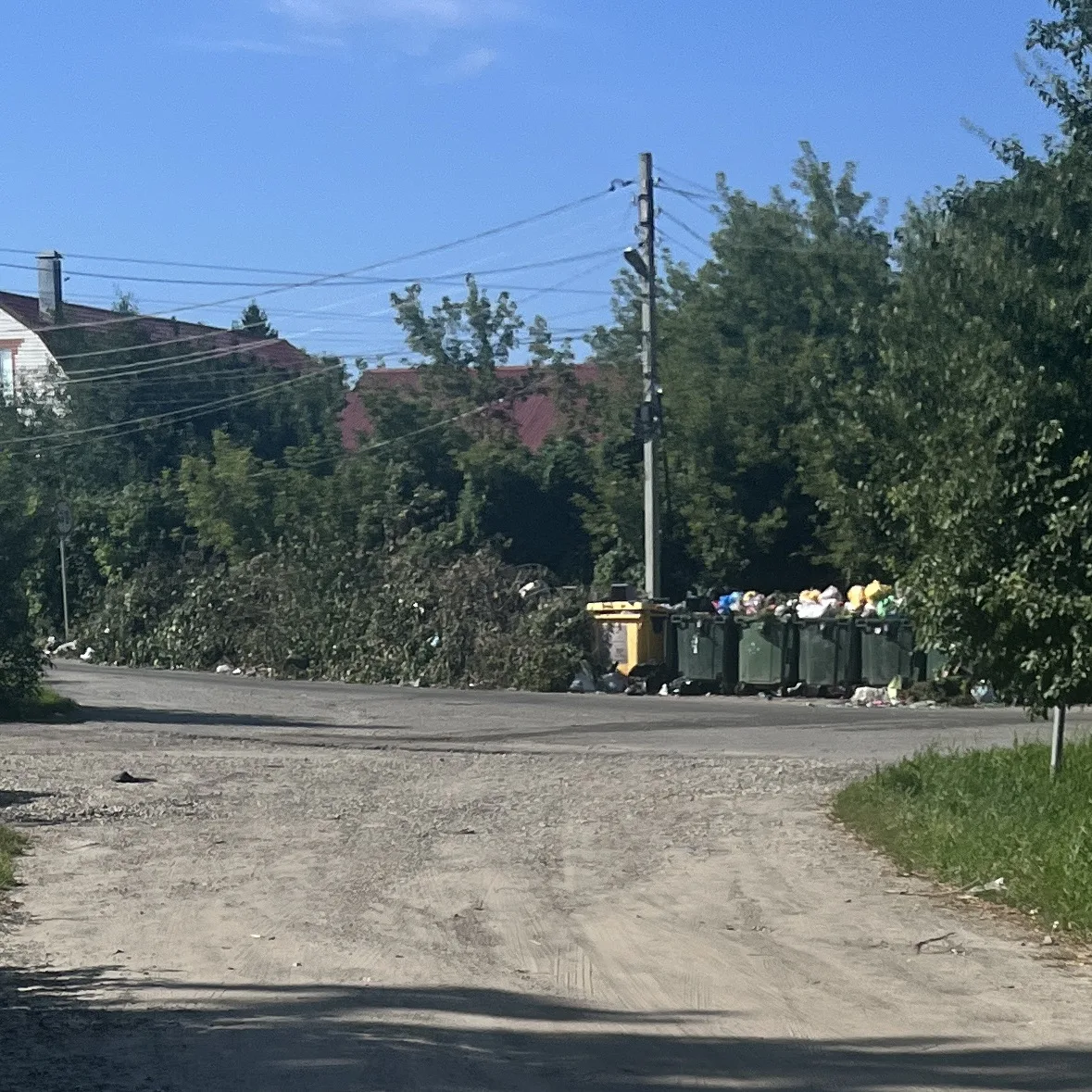 АО «ТСК», вы дополнительный договор с Администрацией города Тамбова на вывоз древесно-р...