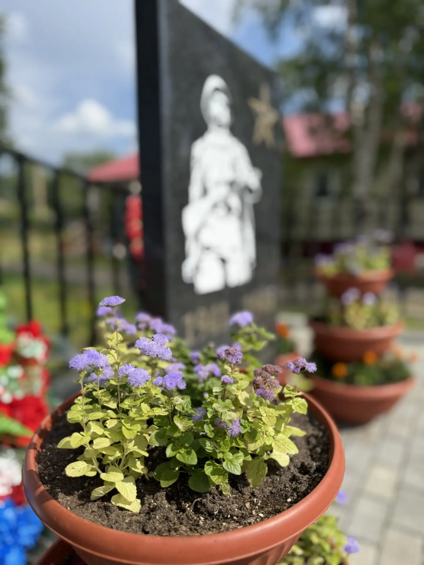 🌺С заботой о родном крае: в Нори и Кутопьюгане высадили 3000 цветов!

Сёла Нори и Кутопьюган стали 