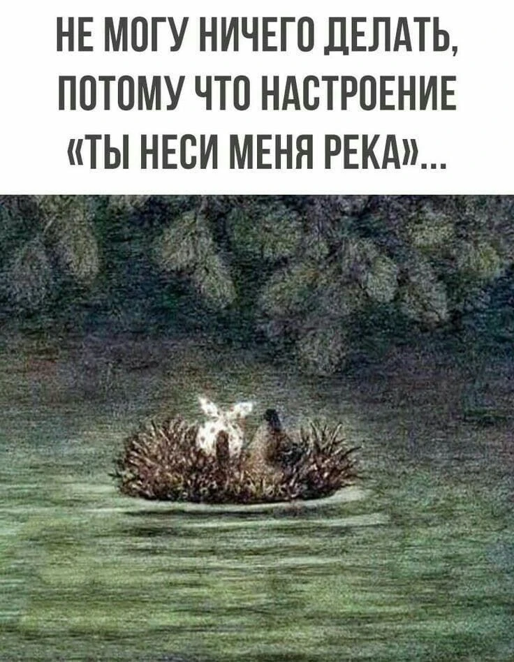 Смешно?😃 Жми лайк, пока не забыл. А подписка — чтобы не потерять того, кто поднимает тебе настроени