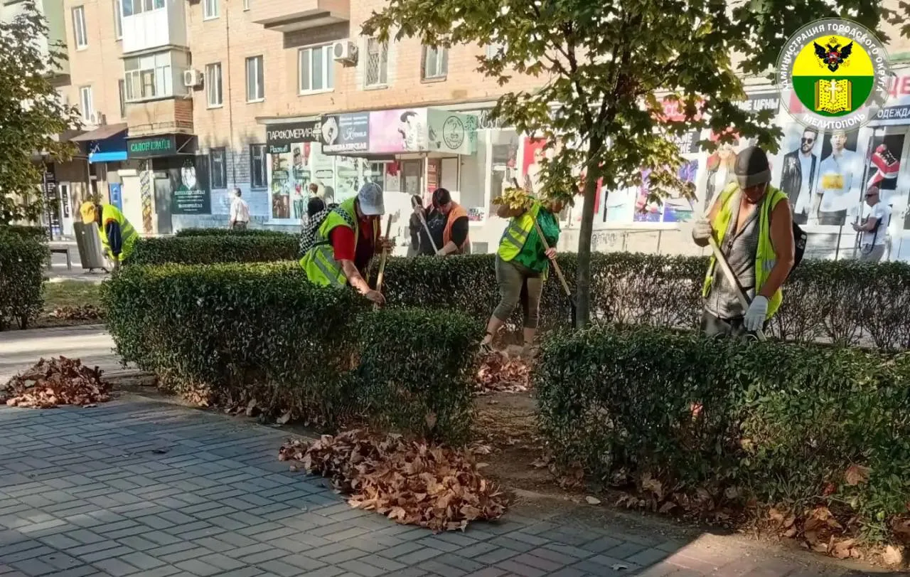 🌿 В Мелитополе коммунальщики продолжают приводить городские улицы в порядок.