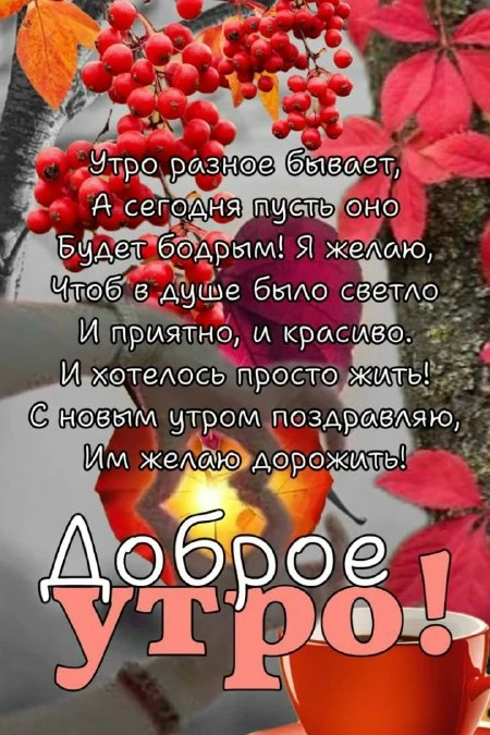 Открытки: подписаться ❤️