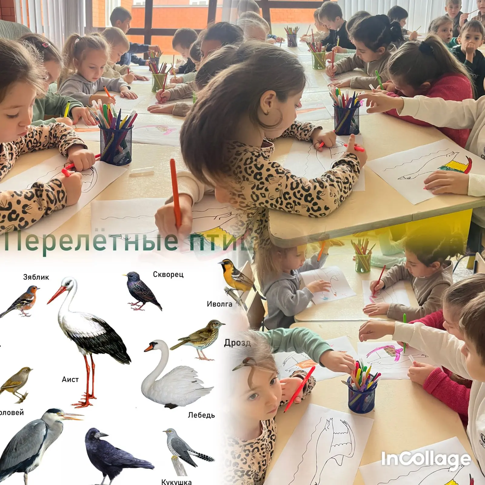 Окружающий мир: Тема « Перелетные птицы»