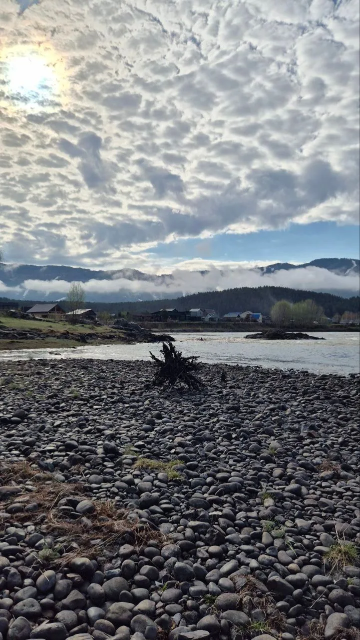 Доброго и красивого утра с берегов Катуни 🌊🩷