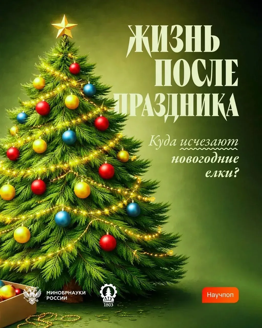 🌲 Благодарим за службу, 🎄🎄🎄до встречи через год ✨🙏