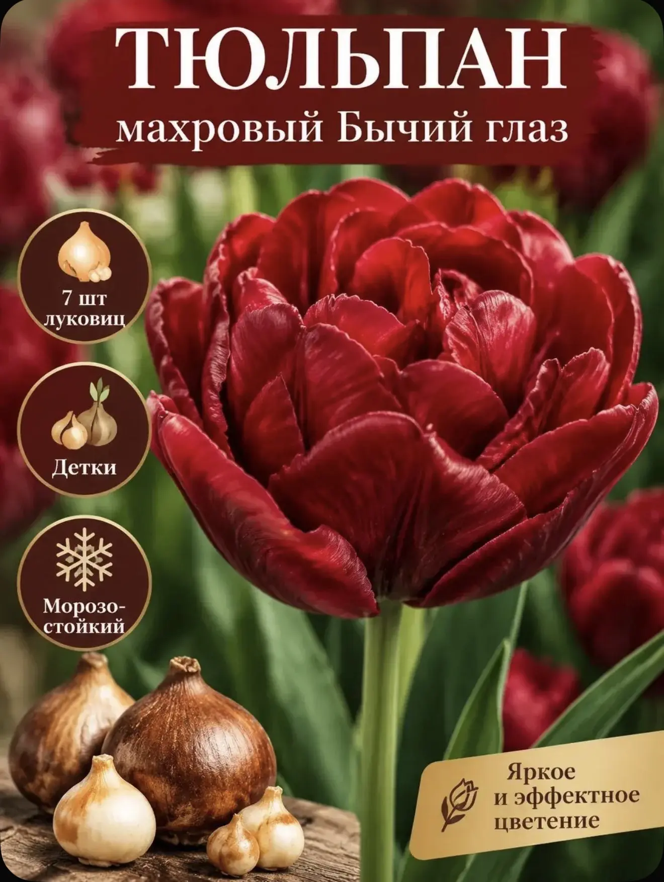 Тюльпаны, упаковка 7 шт!