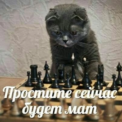 Да, сегодня реально день шахмат ♟