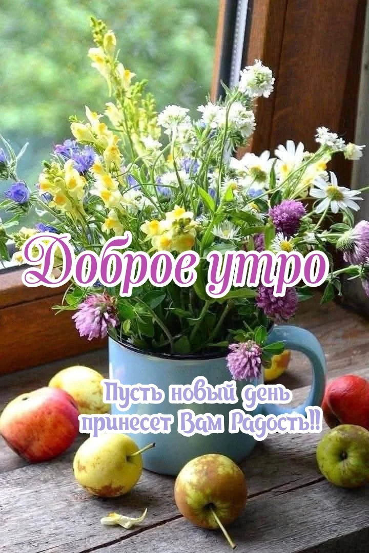 ДОБРОЕ  УТРЕЧКО