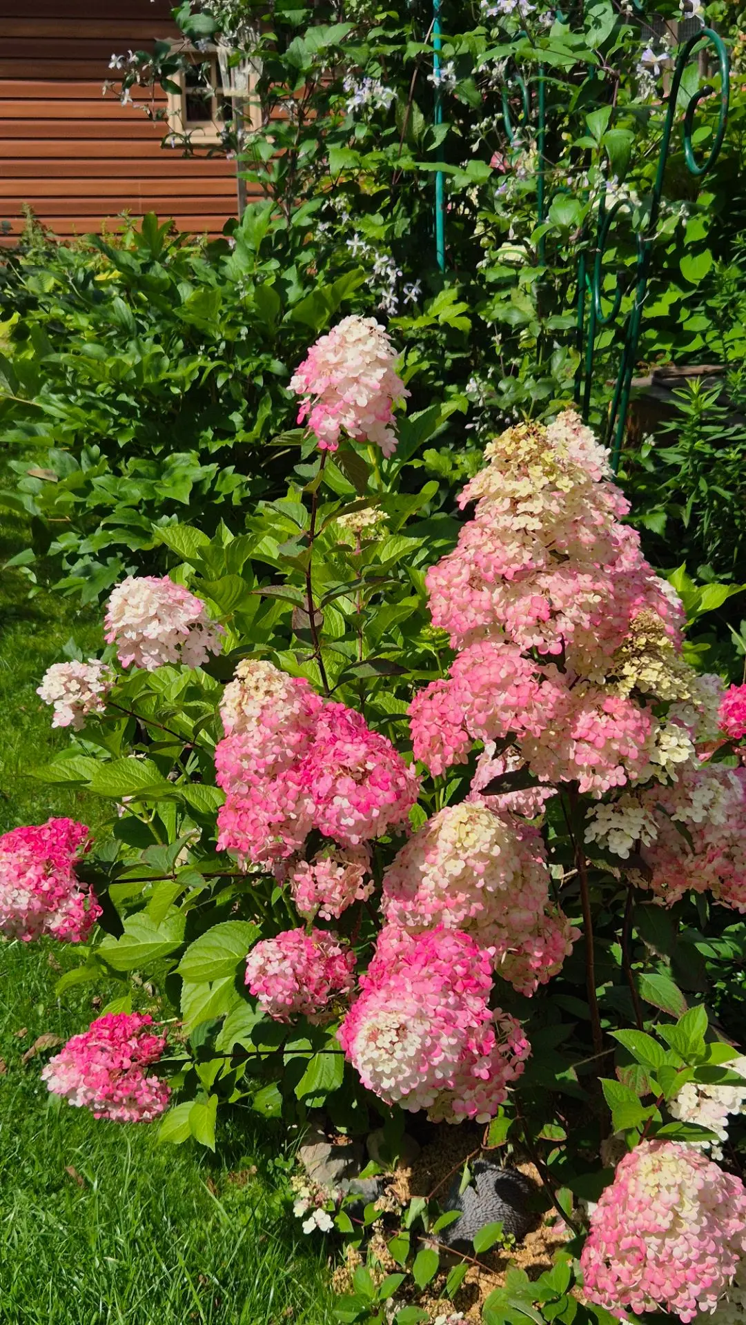 Доброе утро! Всем хорошего дня 🌸🤗 Поздрааляю с Яблочным Спасом 🙏🍎Перед отьездом соб...