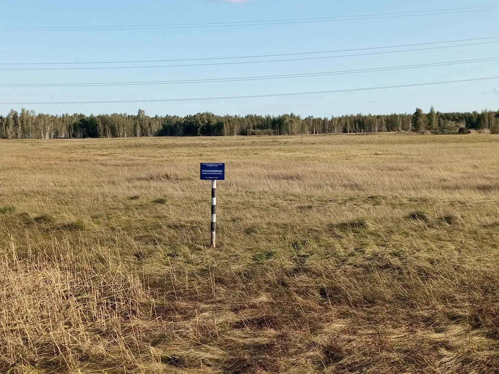 В Краснознаменском общедоступном охотничьего угодье Мишкинского муниципального округа р...