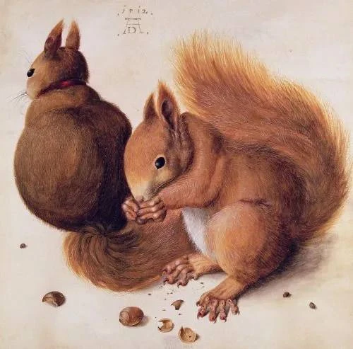 ❤️ "Две белки" Альбрехт Дюрер, 1512 год