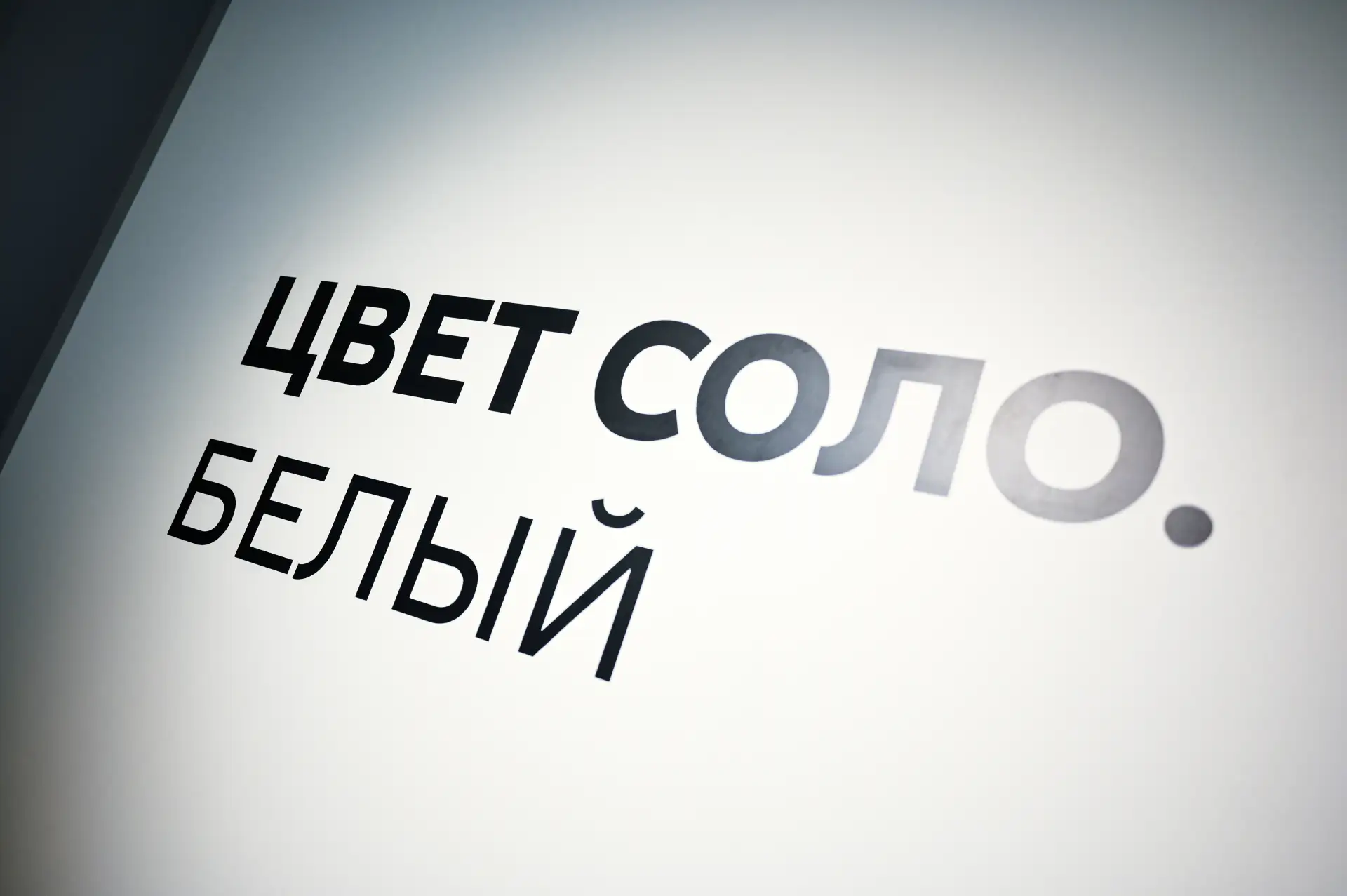 Встреча с прекрасным: экскурсии, лекции, творческие встречи и музыкальный вечер. Расска...