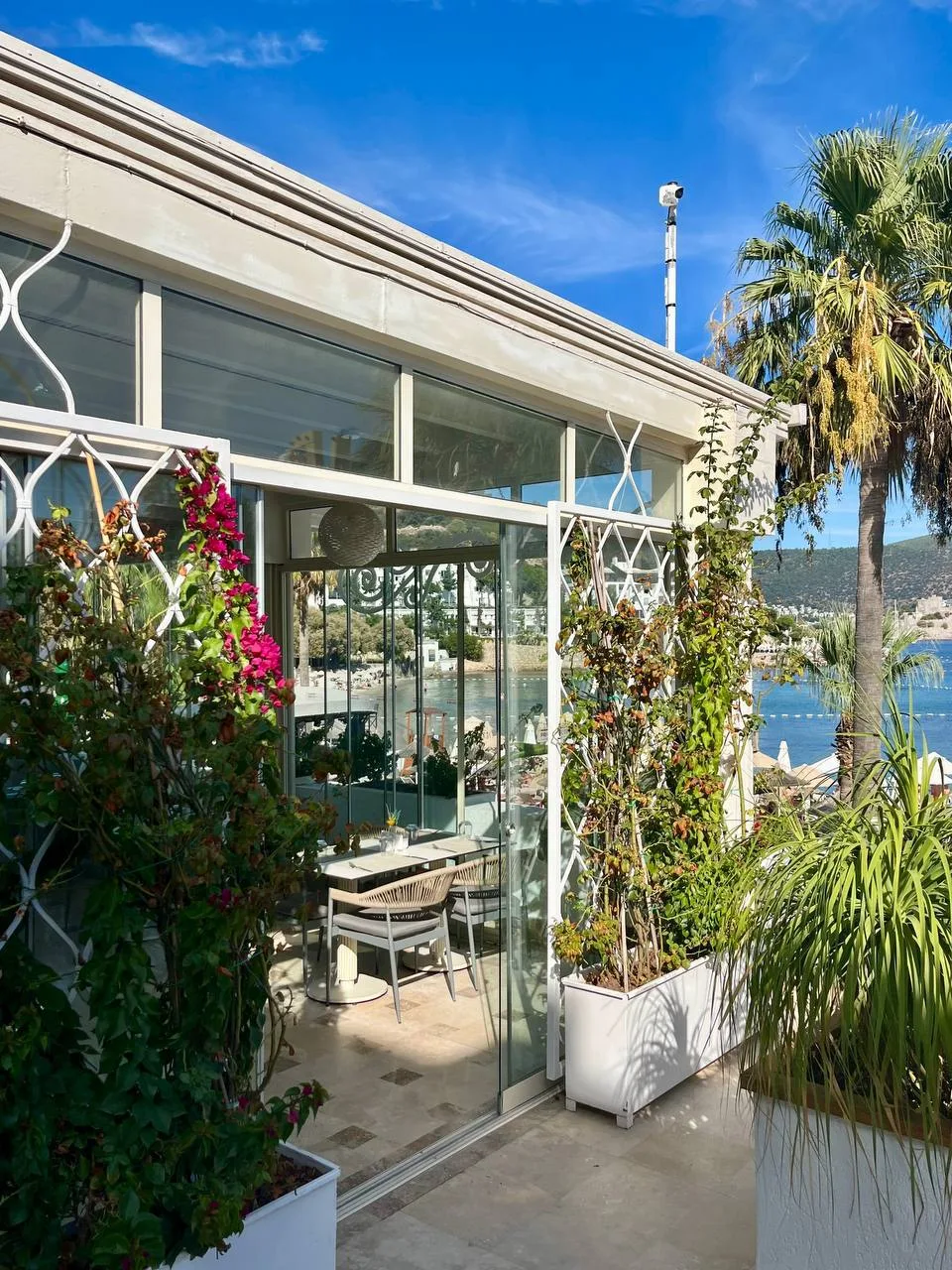 ⛵️ Agaya Bodrum Adults Only 5*⛵️