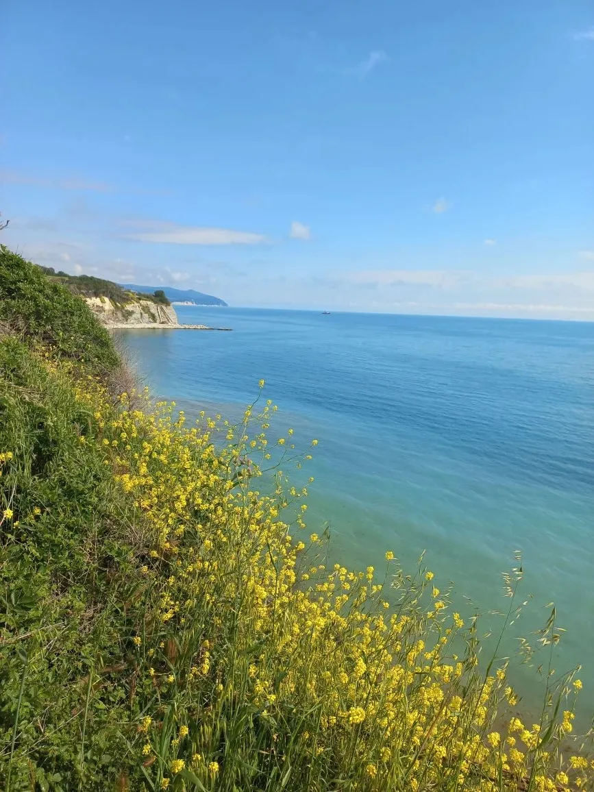 Геленджик радует сегодня солнечной погодой и прекрасными видами ☀️  Красиво, тепло, хорошо — как раз