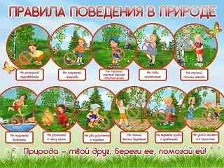 Напоминаем правила безопасного поведения на природе
№ 501_Безопасность