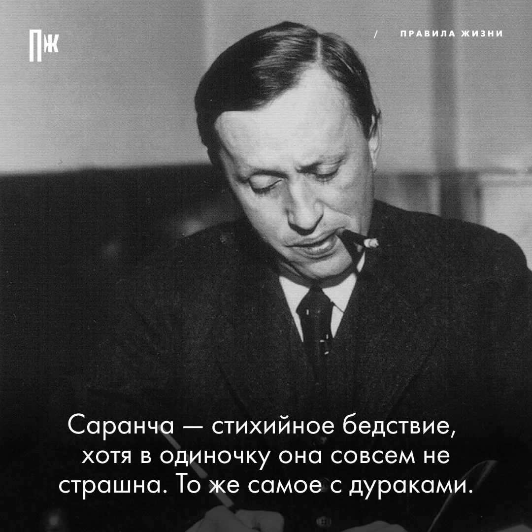 Правило дня от Карела Чапека.