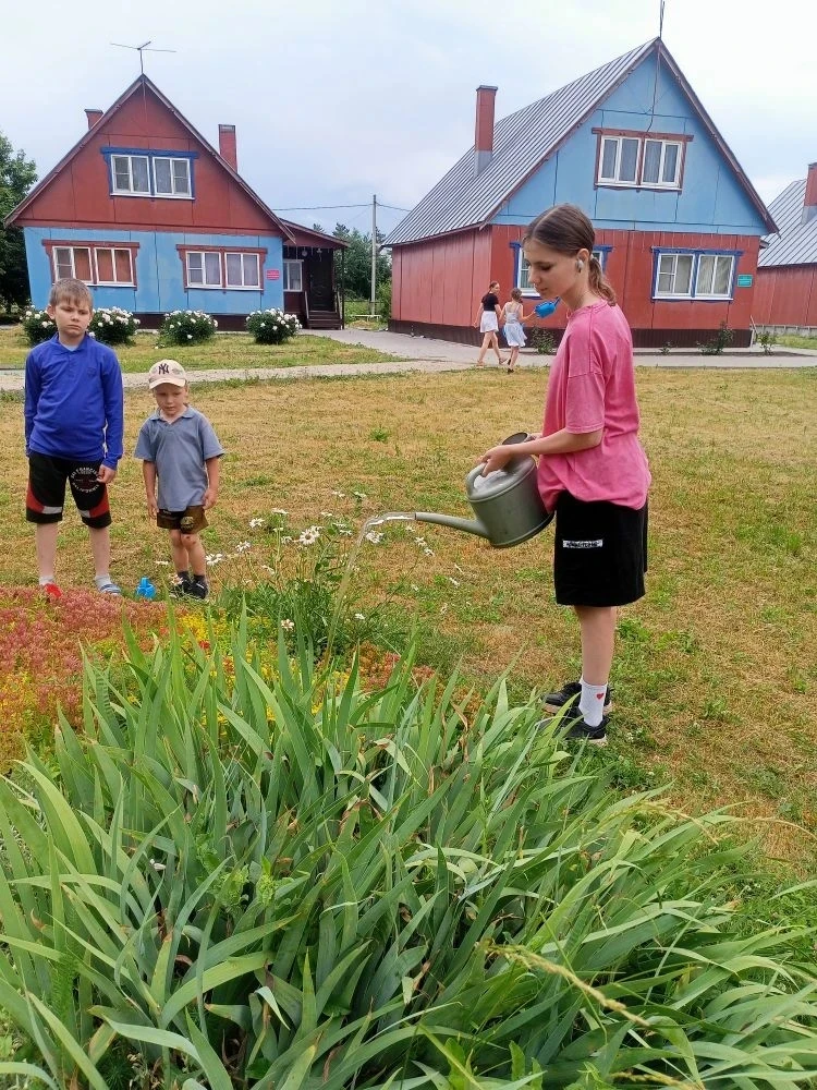 Проект «Дача»: от грядки до цветника! 🌱🌸