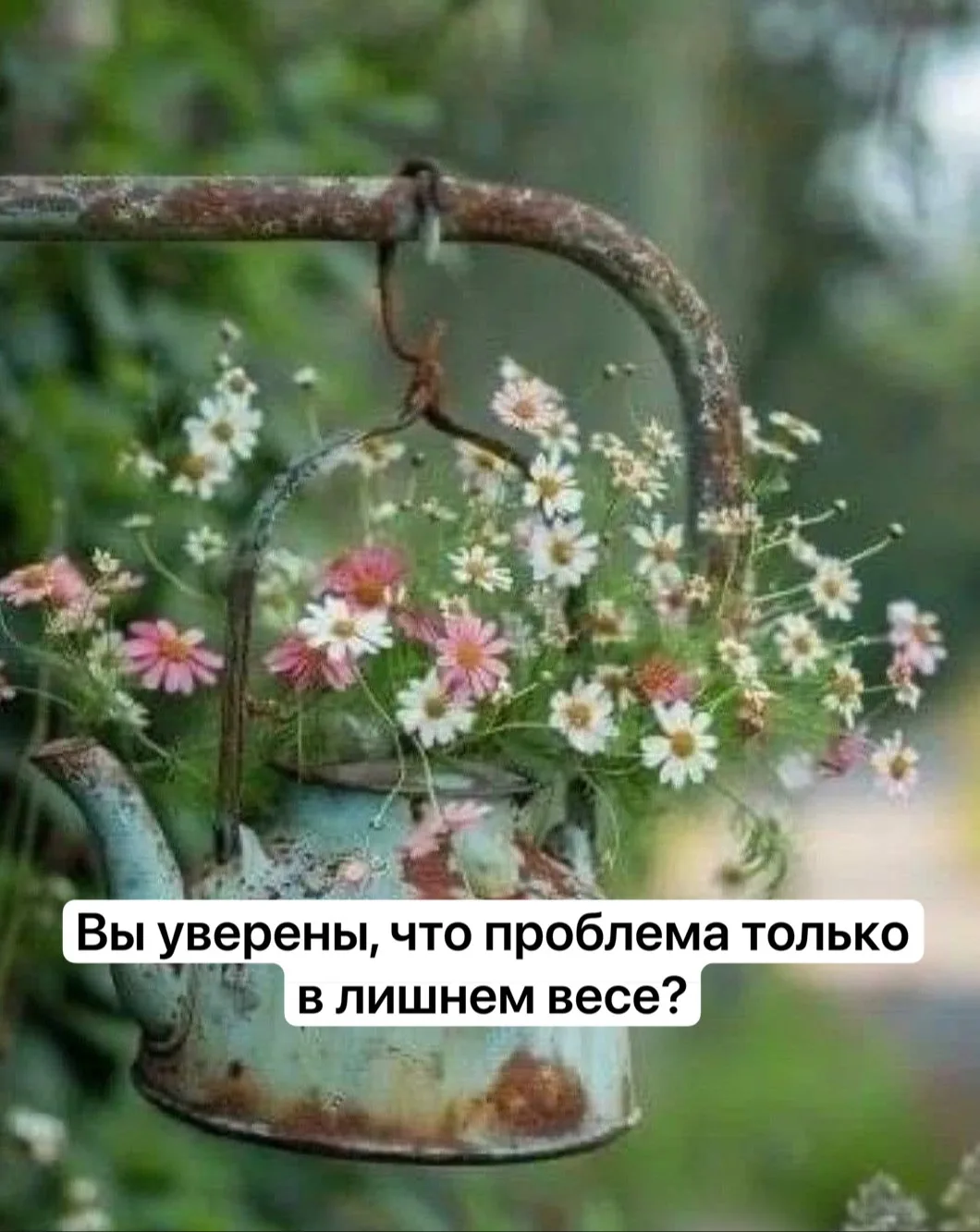 Доброе утро, дорогие!

После серии постов про перименопаузу многие писали примерно одно и то же: «Те