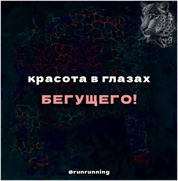 Всем БЕГ!