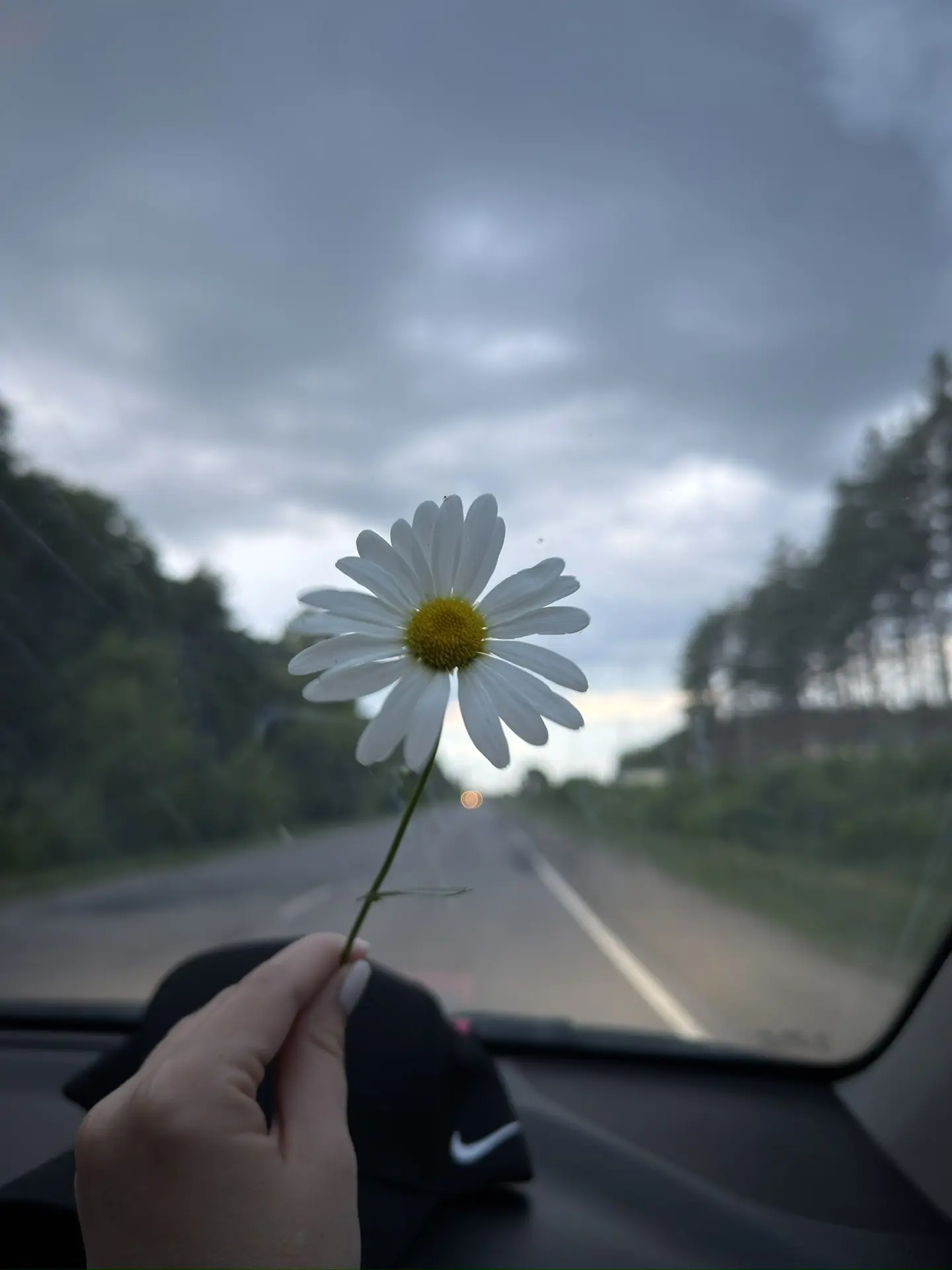 Как хочется и мира во всём мире 😭