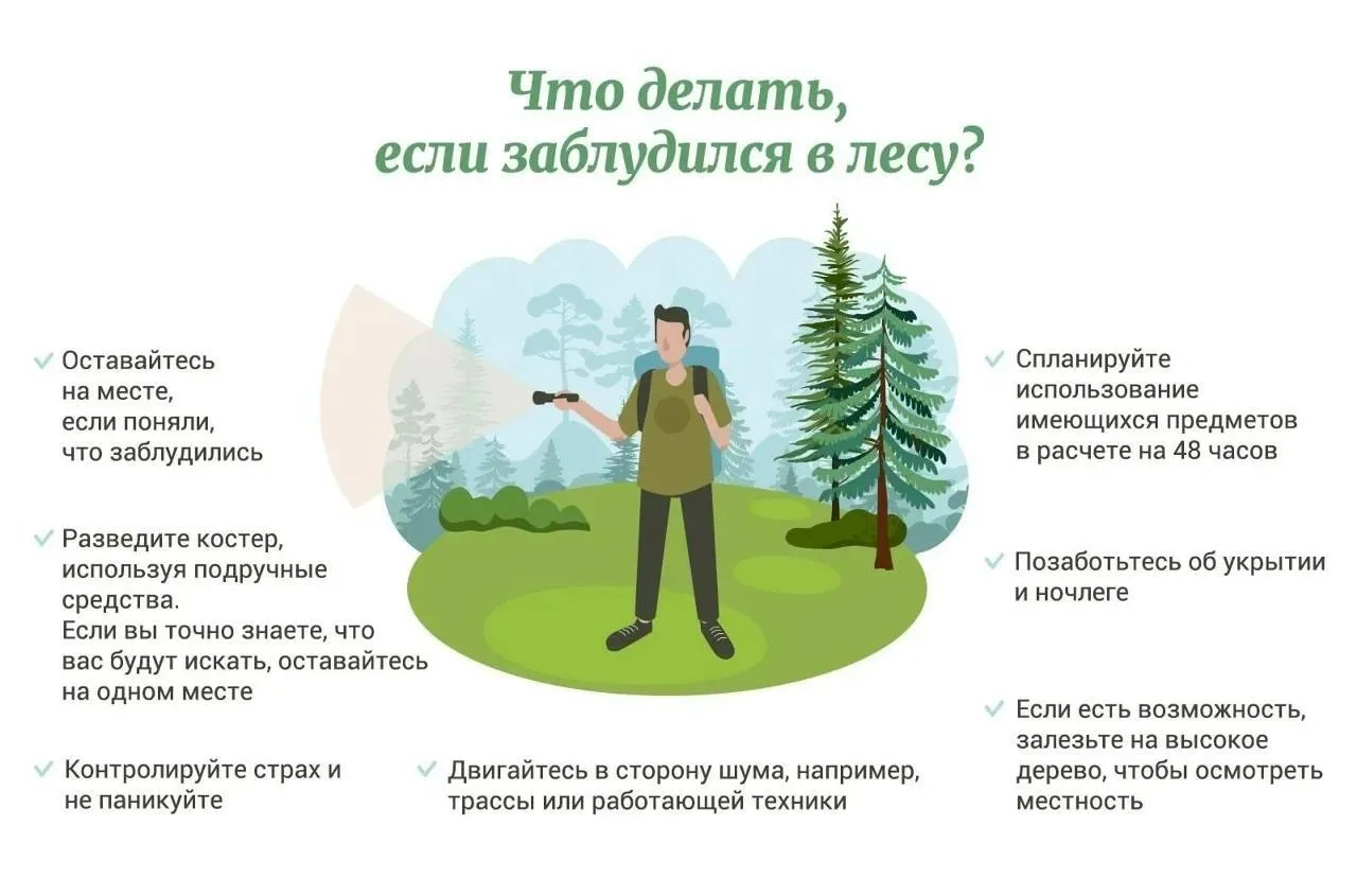 📌 Памятка «Как не потеряться в лесу»