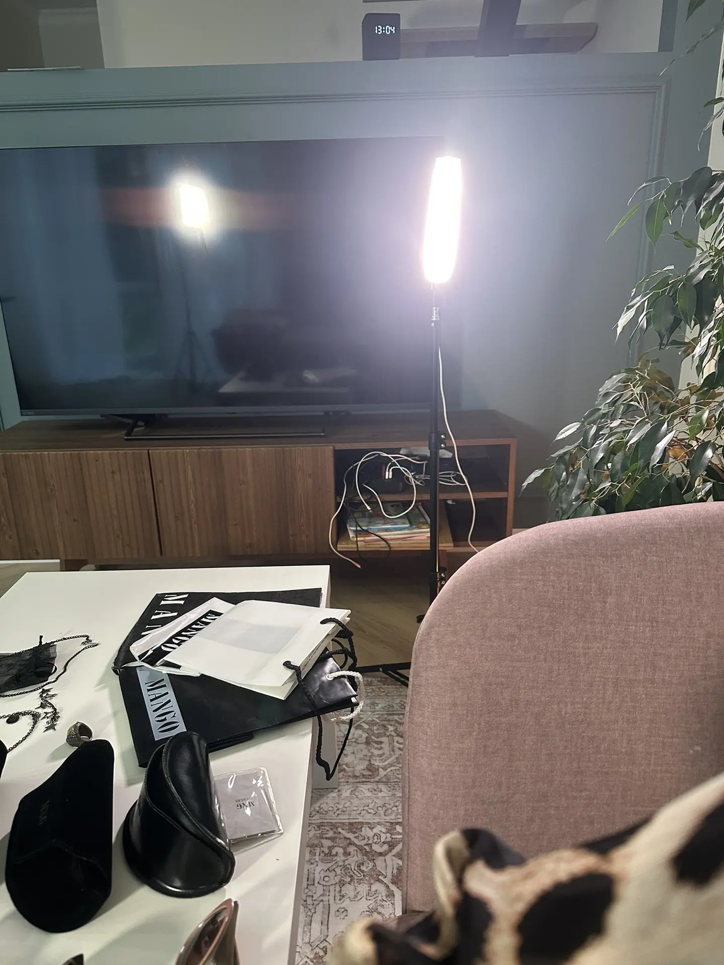 Сегодня команда бренда Mango 🥭 приехала прямо ко мне домой )))