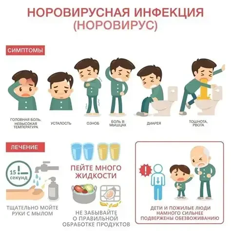 Для профилактики заражения норовирусной инфекцией рекомендуется соблюдать следующие пра...