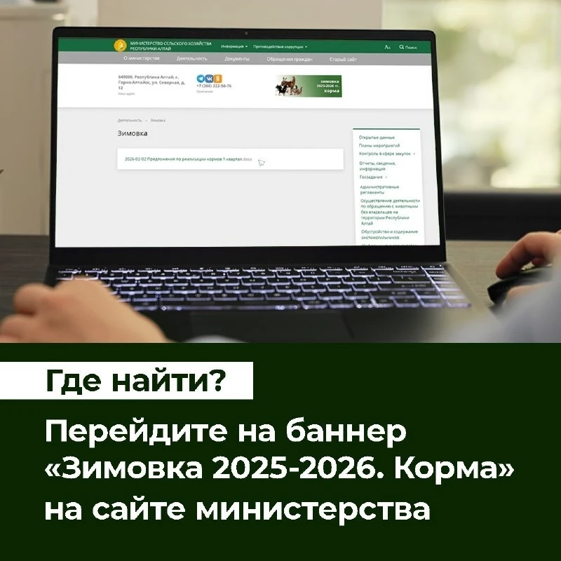 Онгудай | Горно-Алтайск | Майма | Чемал🏡  В Республике Алтай запущен интернет-раздел о закупе кормов